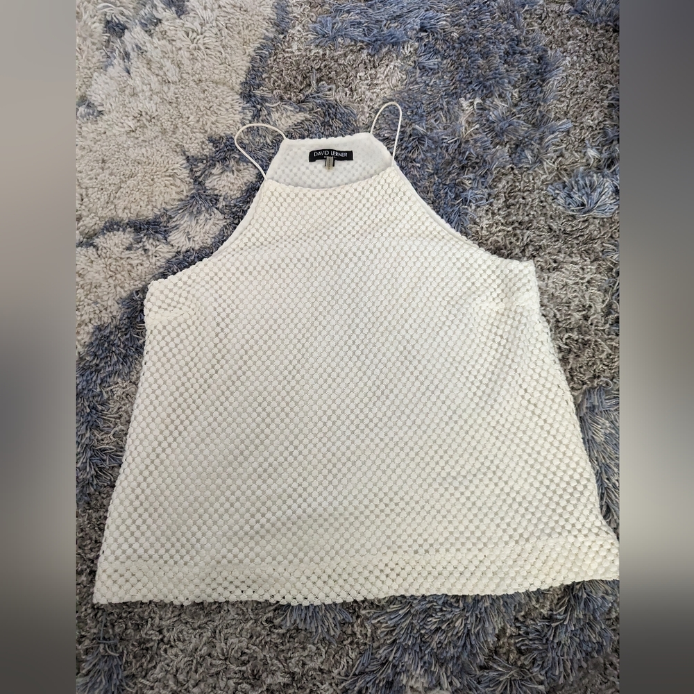 David Lerner tank